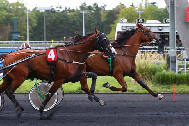Photo d'arrivée de la course pmu PRIX DE METZ à PARIS-VINCENNES le Lundi 31 août 2020