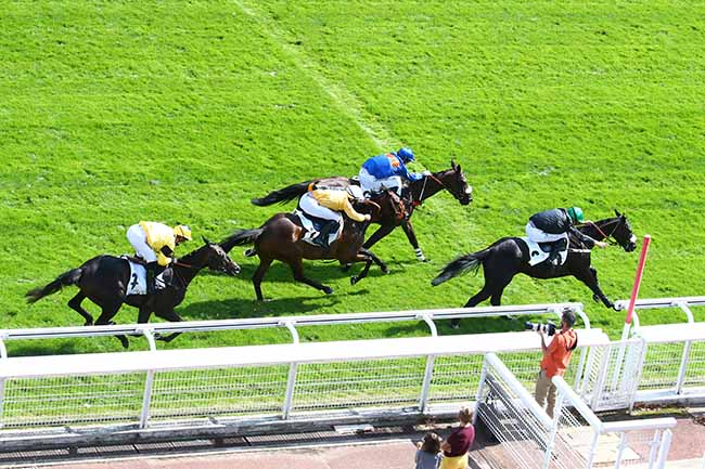 Photo d'arrivée de la course pmu PRIX DES PLATANES à AUTEUIL le Mardi 1 septembre 2020