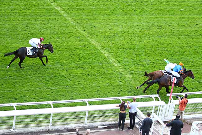 Photo d'arrivée de la course pmu PRIX PIERRE ET JEAN-MARIE MERCIER à AUTEUIL le Mardi 1 septembre 2020
