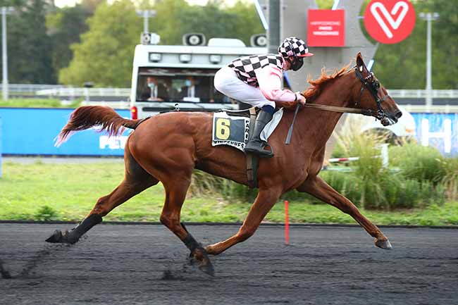 Photo d'arrivée de la course pmu PRIX ANDRE ROUER à PARIS-VINCENNES le Mardi 1 septembre 2020