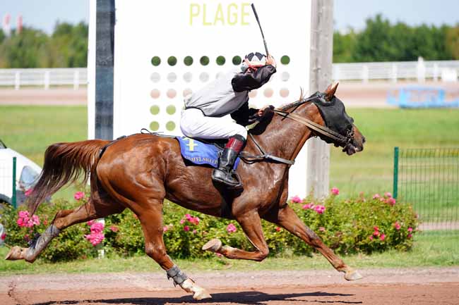 Photo d'arrivée de la course pmu GRAND PRIX THALASSO-SPA MARIN LA GRANDE TERRASSE à LA ROCHELLE-CHATELA. le Mercredi 2 septembre 2020