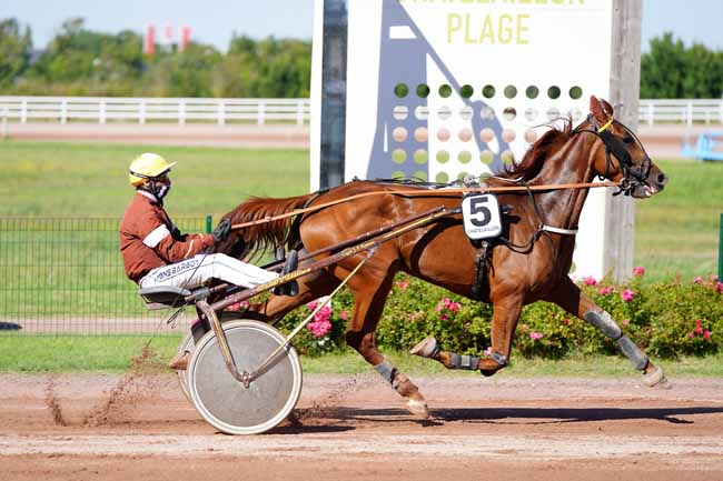 Photo d'arrivée de la course pmu PRIX POINT PMU 