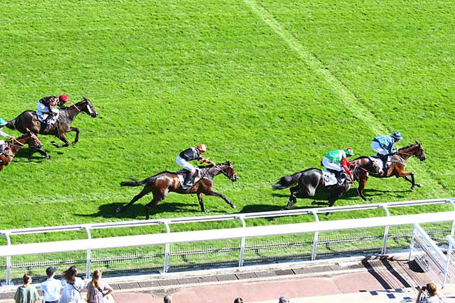 Photo d'arrivée de la course pmu PRIX CADOUDAL à AUTEUIL le Vendredi 4 septembre 2020