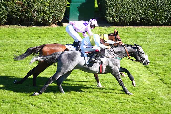 Photo d'arrivée de la course pmu PRIX GELAS à AUTEUIL le Vendredi 4 septembre 2020