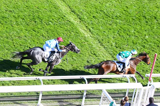 Photo d'arrivée de la course pmu PRIX PELAT à AUTEUIL le Vendredi 4 septembre 2020