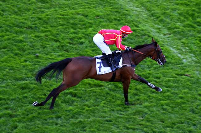 Photo d'arrivée de la course pmu PRIX PIERRE ET BERNARD CYPRES à AUTEUIL le Vendredi 4 septembre 2020