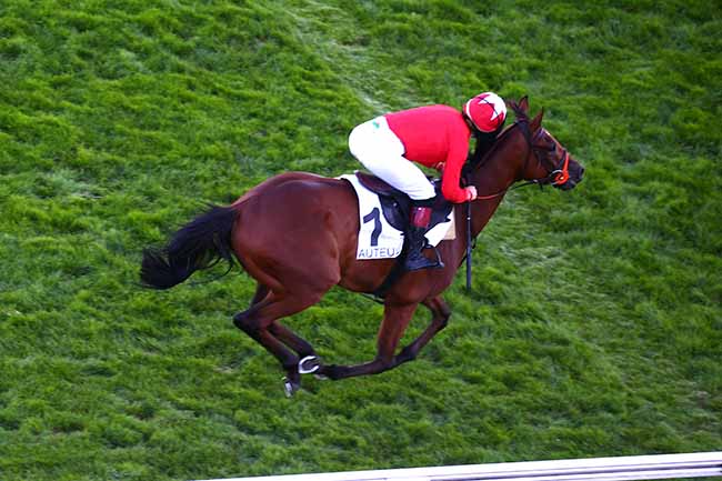 Photo d'arrivée de la course pmu PRIX DE GIEN à AUTEUIL le Vendredi 4 septembre 2020