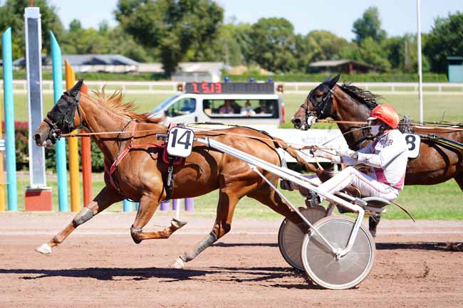 Photo d'arrivée de la course pmu PRIX DU TARN à BEAUMONT-DE-LOMAGNE le Mardi 8 septembre 2020