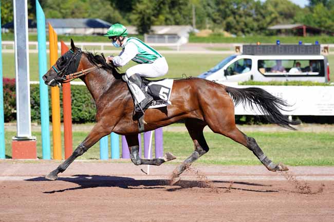 Photo d'arrivée de la course pmu PRIX DU CANAL DU MIDI à BEAUMONT-DE-LOMAGNE le Mardi 8 septembre 2020
