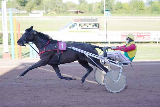 Photo d'arrivée de la course pmu PRIX DE LAON à BEAUMONT-DE-LOMAGNE le Mardi 8 septembre 2020