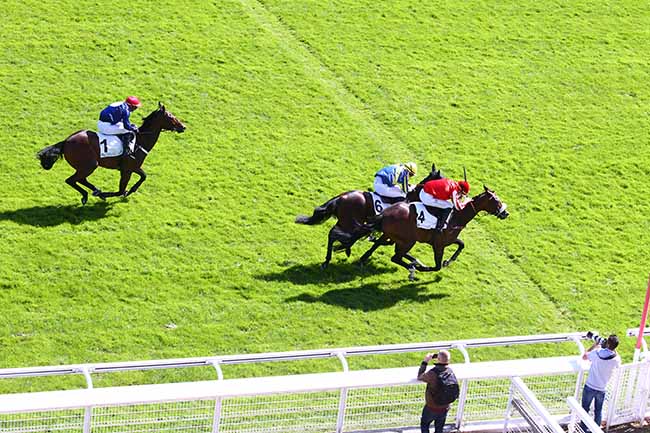 Photo d'arrivée de la course pmu PRIX ALAIN ET GILLES DE GOULAINE à AUTEUIL le Mercredi 9 septembre 2020