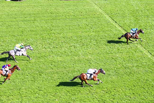 Photo d'arrivée de la course pmu PRIX MARLY RIVER à AUTEUIL le Mercredi 9 septembre 2020