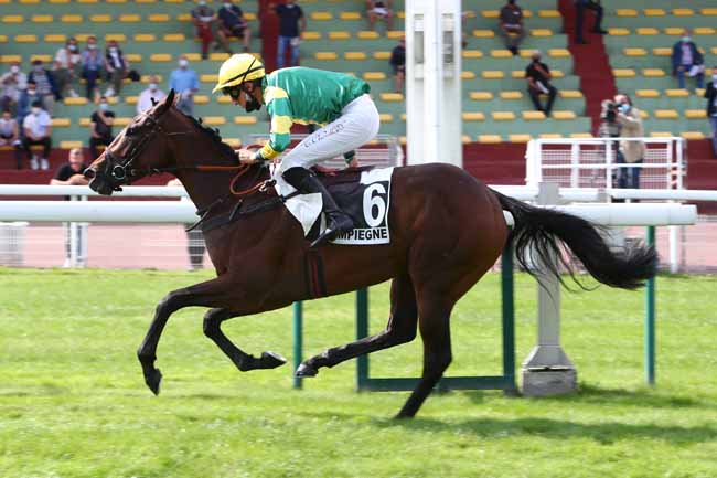 Photo d'arrivée de la course pmu PRIX ROMAN OAK à COMPIEGNE le Jeudi 10 septembre 2020