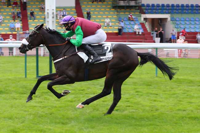 Photo d'arrivée de la course pmu PRIX THE STOMP - PRIX JIM CROW à COMPIEGNE le Jeudi 10 septembre 2020