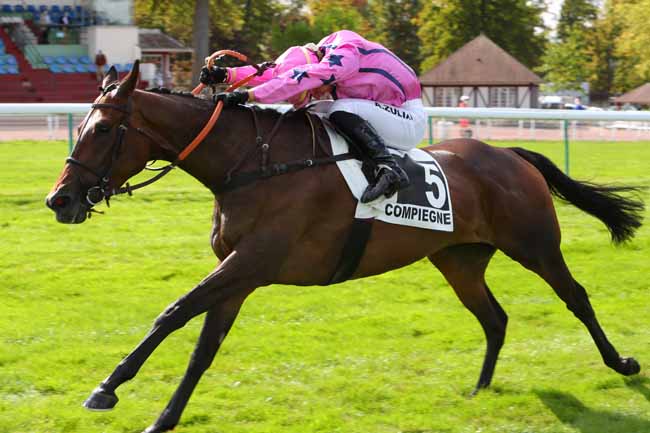 Photo d'arrivée de la course pmu PRIX SUMMIT à COMPIEGNE le Jeudi 10 septembre 2020