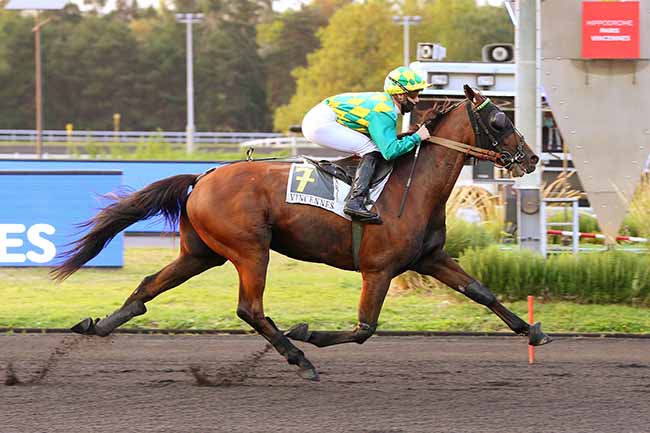 Photo d'arrivée de la course pmu PRIX ALFRED LEFEVRE à PARIS-VINCENNES le Vendredi 11 septembre 2020