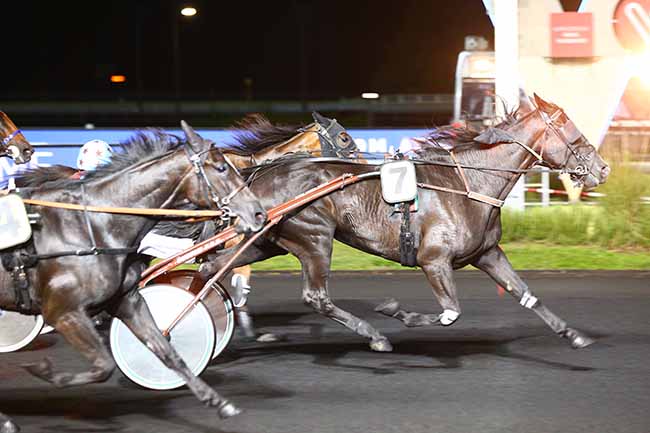 Photo d'arrivée de la course pmu PRIX AEGLE à PARIS-VINCENNES le Vendredi 11 septembre 2020