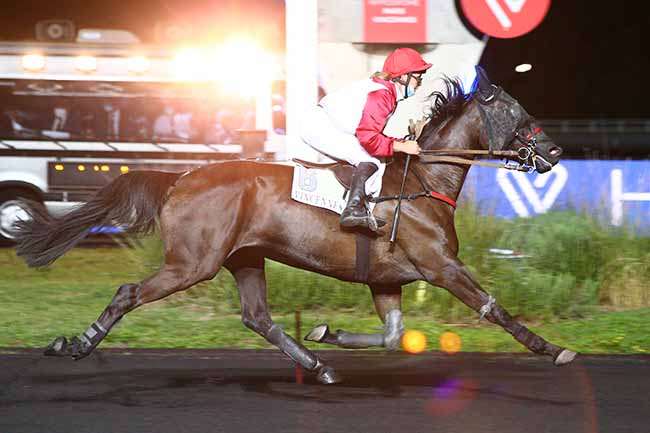 Photo d'arrivée de la course pmu PRIX MUSCA à PARIS-VINCENNES le Vendredi 11 septembre 2020