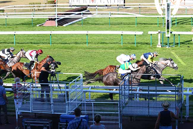 Photo d'arrivée de la course pmu PRIX DES RUINES DE CHAMPLIEU à COMPIEGNE le Lundi 14 septembre 2020