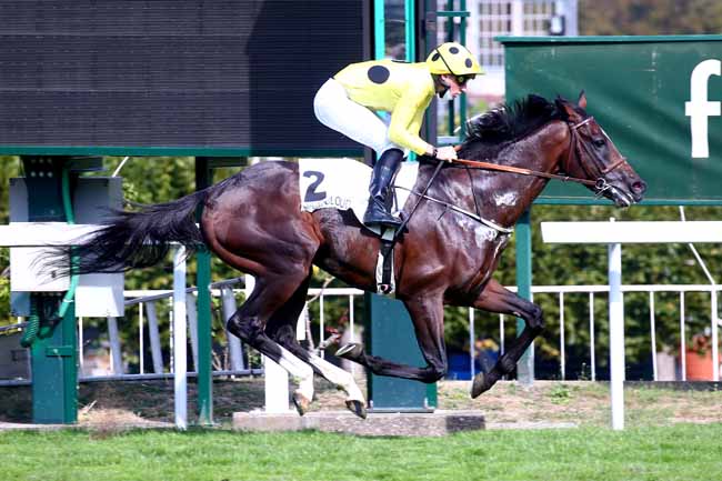 Photo d'arrivée de la course pmu PRIX SANCTUS à SAINT-CLOUD le Mardi 15 septembre 2020