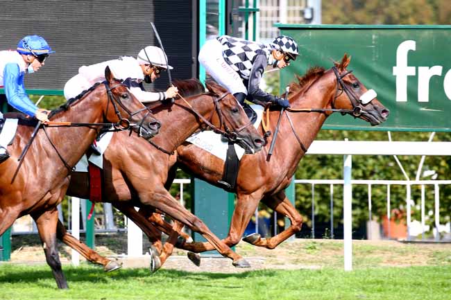 Photo d'arrivée de la course pmu PRIX DE FEUCHEROLLES à SAINT-CLOUD le Mardi 15 septembre 2020