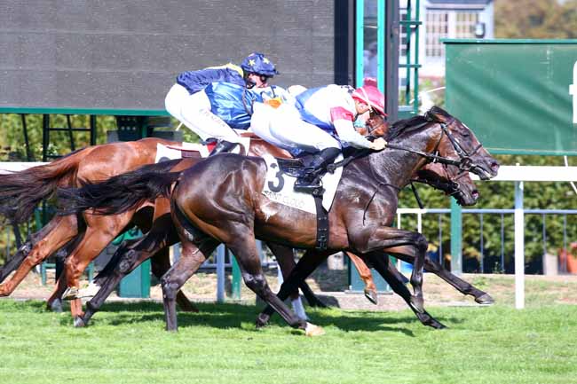 Photo d'arrivée de la course pmu PRIX PELAT à SAINT-CLOUD le Mardi 15 septembre 2020