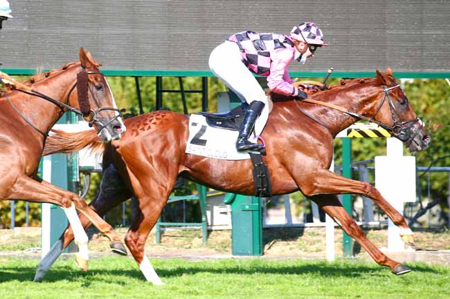 Photo d'arrivée de la course pmu PRIX DE LA COUR DES 49 à SAINT-CLOUD le Mardi 15 septembre 2020