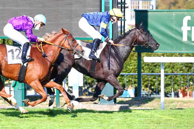 Photo d'arrivée de la course pmu PRIX DE L'ETANG DE SAINT-CUCUFA à SAINT-CLOUD le Mardi 15 septembre 2020