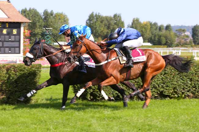 Photo d'arrivée de la course pmu PRIX DES ETGS ST-PIERRE à CLAIREFONTAINE le Mardi 15 septembre 2020