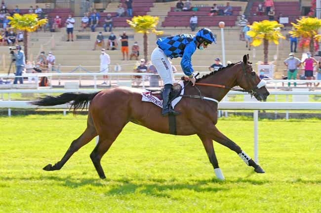Photo d'arrivée de la course pmu PRIX CHRISTIAN DE L'HERMITE à CLAIREFONTAINE le Mardi 15 septembre 2020