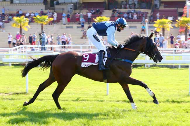 Photo d'arrivée de la course pmu PRIX GRAND CROC à CLAIREFONTAINE le Mardi 15 septembre 2020