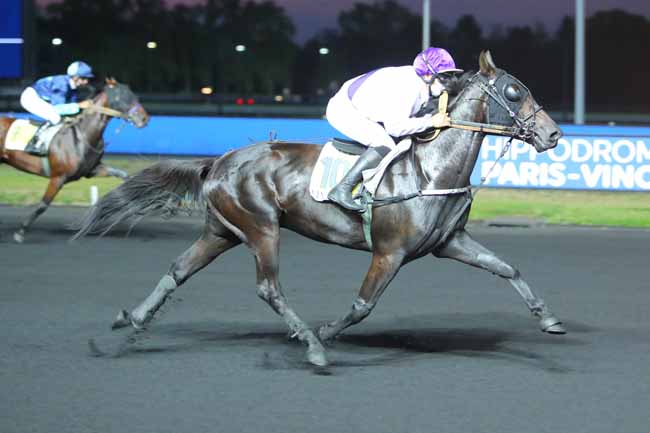 Photo d'arrivée de la course pmu PRIX VELLEDA à PARIS-VINCENNES le Mardi 15 septembre 2020