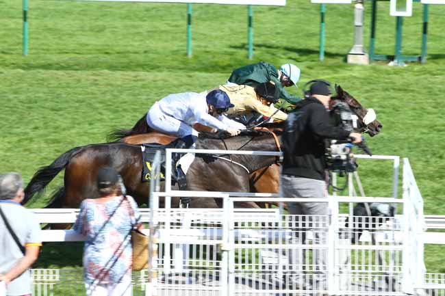 Photo d'arrivée de la course pmu PRIX DES HAMADRYADES à COMPIEGNE le Jeudi 17 septembre 2020