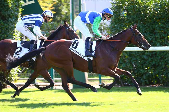 Photo d'arrivée de la course pmu PRIX DE SAINT-FIRMIN à CHANTILLY le Vendredi 18 septembre 2020