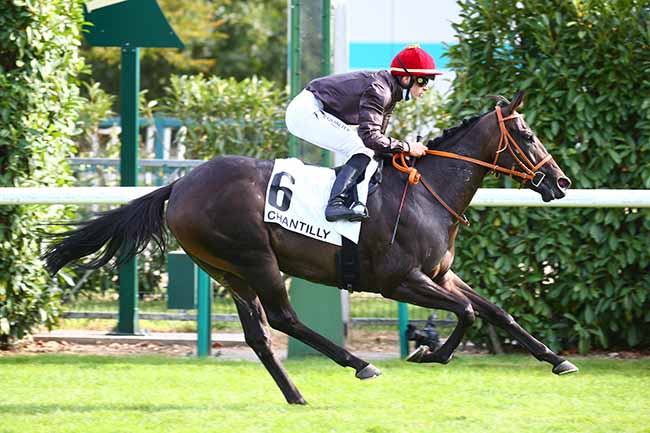 Photo d'arrivée de la course pmu PRIX ECLIPSE à CHANTILLY le Vendredi 18 septembre 2020
