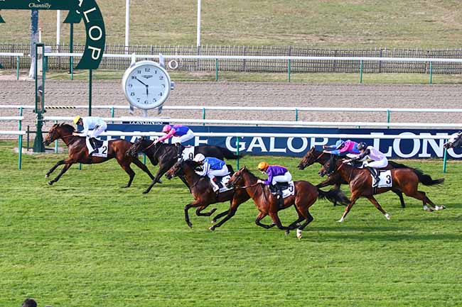 Photo d'arrivée de la course pmu PRIX DES TERRES NOIRES à CHANTILLY le Vendredi 18 septembre 2020