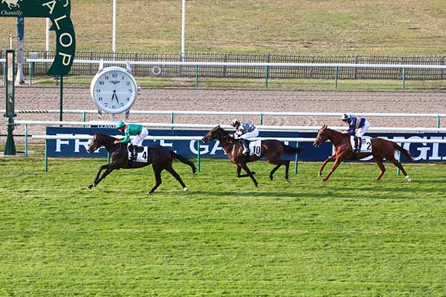 Photo d'arrivée de la course pmu PRIX DU MARAIS DOZET à CHANTILLY le Vendredi 18 septembre 2020