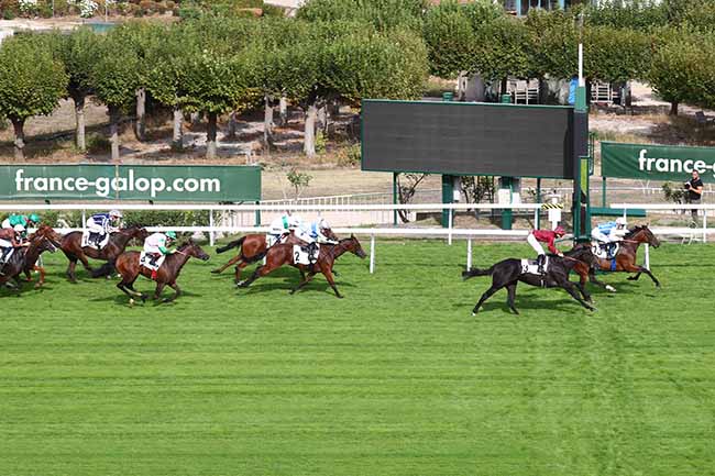 Photo d'arrivée de la course pmu PRIX TENEBREUSE à SAINT-CLOUD le Samedi 19 septembre 2020
