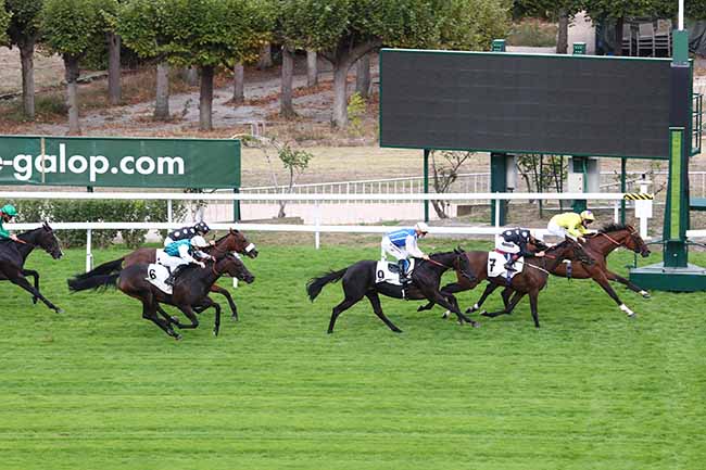 Photo d'arrivée de la course pmu PRIX DES TOURELLES - FONDS EUROPEEN DE L'ELEVAGE à SAINT-CLOUD le Samedi 19 septembre 2020