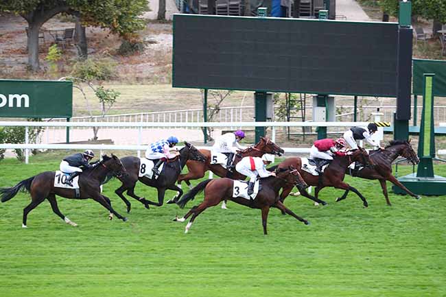 Photo d'arrivée de la course pmu PRIX DE BUZENVAL à SAINT-CLOUD le Samedi 19 septembre 2020