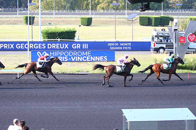 Photo d'arrivée de la course pmu PRIX GEORGES DREUX à PARIS-VINCENNES le Dimanche 20 septembre 2020