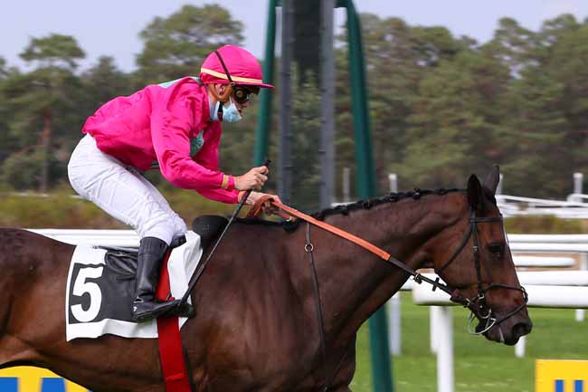 Photo d'arrivée de la course pmu PRIX DE SAMOIS-SUR-SEINE à FONTAINEBLEAU le Dimanche 20 septembre 2020