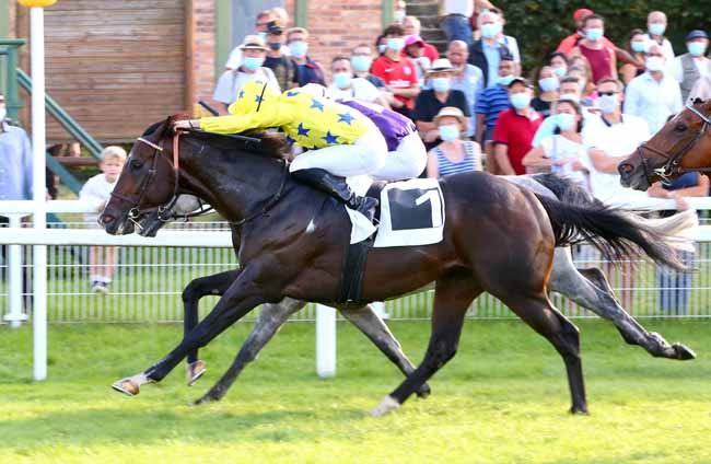 Photo d'arrivée de la course pmu PRIX ALIZE AUTOMOBILES à FONTAINEBLEAU le Dimanche 20 septembre 2020