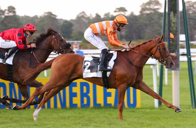 Photo d'arrivée de la course pmu PRIX DES SEQUOIAS à FONTAINEBLEAU le Dimanche 20 septembre 2020