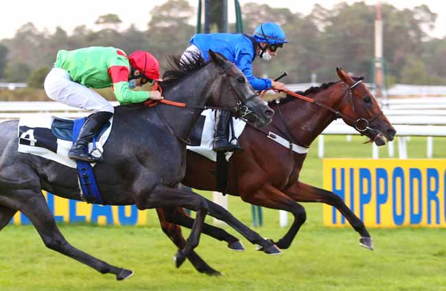 Photo d'arrivée de la course pmu PRIX DU COMITE DEPARTEMENTAL DU TOURISME DE SEINE-ET-MARNE à FONTAINEBLEAU le Dimanche 20 septembre 2020