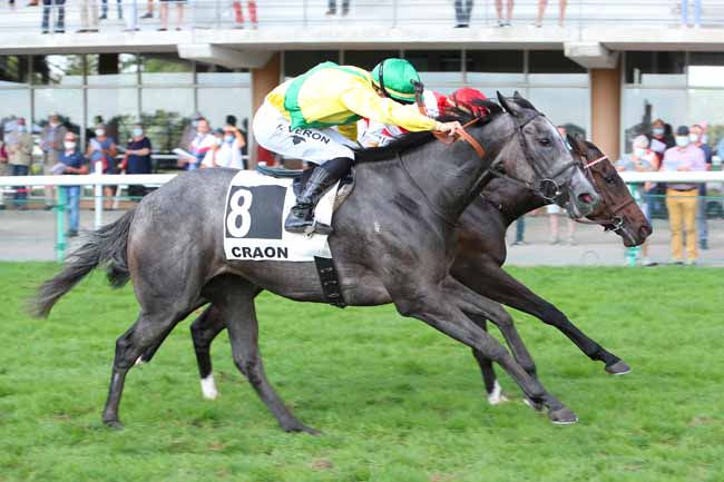 Photo d'arrivée de la course pmu PRIX DU HARAS DE LA HAIE NEUVE LE BRIVIDO - PRIX DU POINT DU JOUR à CRAON le Lundi 21 septembre 2020