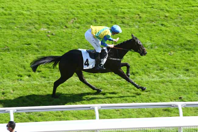 Photo d'arrivée de la course pmu PRIX LE GOURZY à AUTEUIL le Mardi 22 septembre 2020