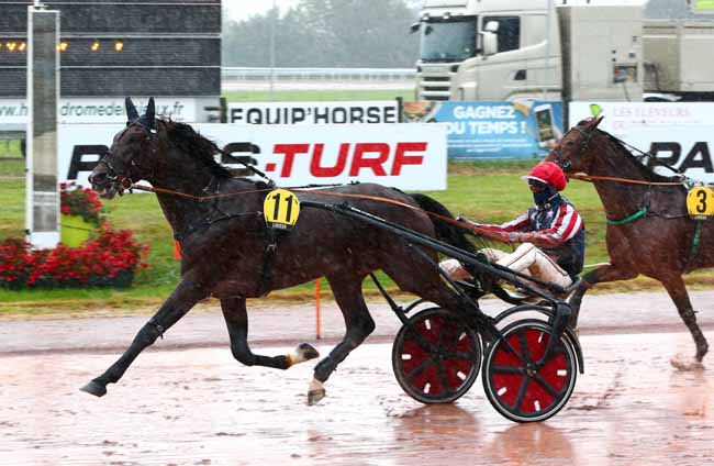Photo d'arrivée de la course pmu PRIX DU CONSEIL REGIONAL DE NORMANDIE à LISIEUX le Mercredi 23 septembre 2020