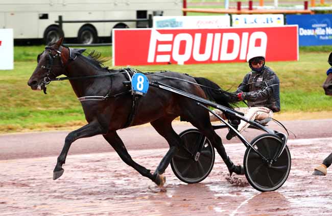 Photo d'arrivée de la course pmu PRIX AGLO LISIEUX NORMANDIE à LISIEUX le Mercredi 23 septembre 2020