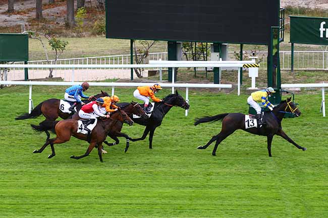 Photo d'arrivée de la course pmu PRIX DE L'AVENUE PYRAMIDE à SAINT-CLOUD le Mercredi 23 septembre 2020